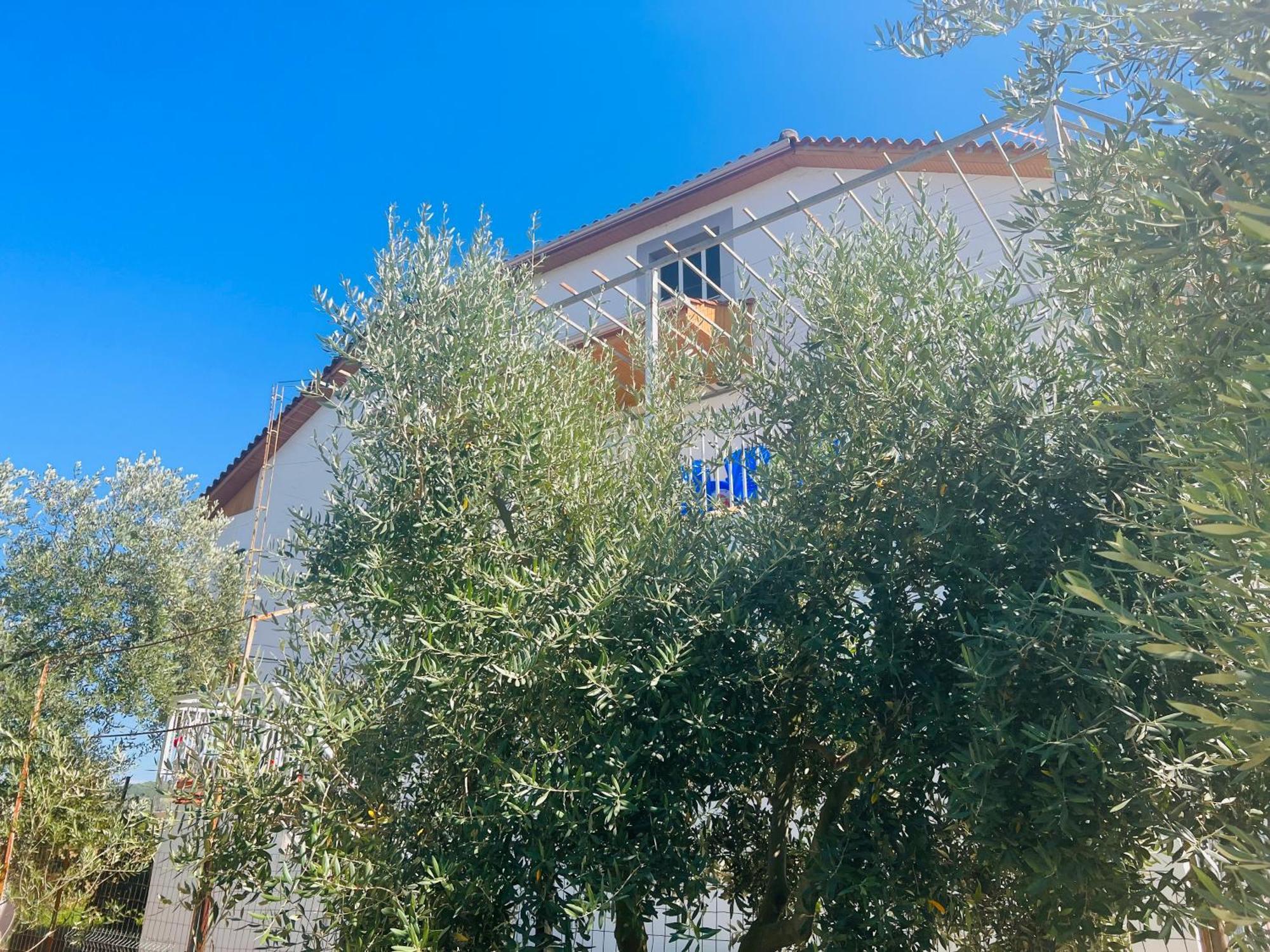 Fori Vodo Hotel Divjake Bagian luar foto